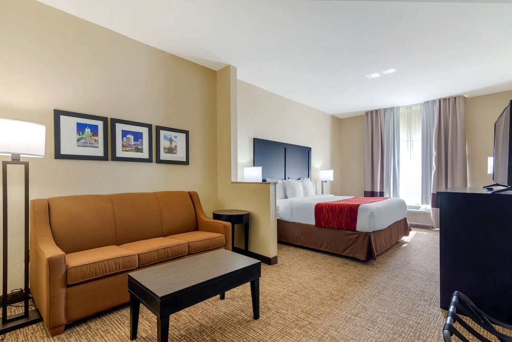 Comfort Inn & Suites Montgomery Eastchase 28/40