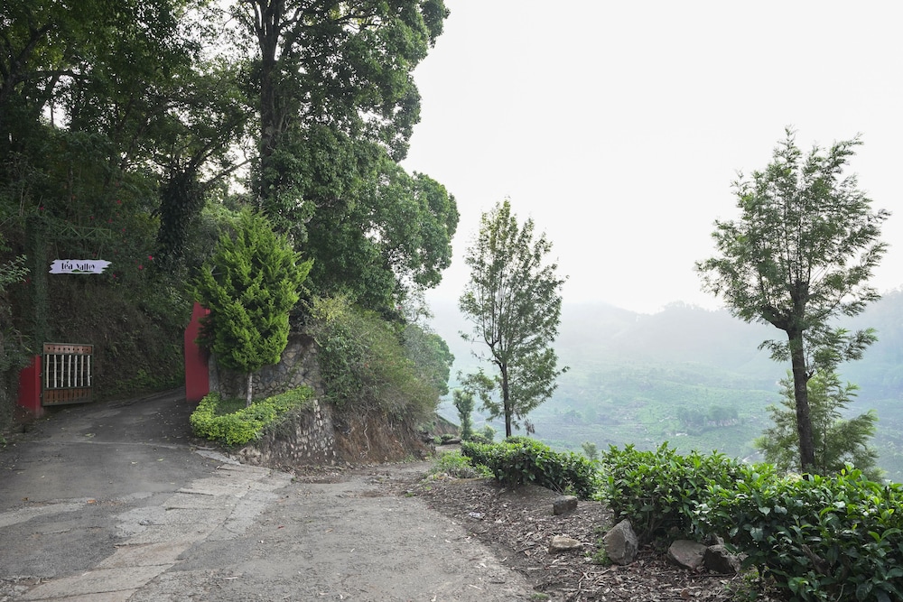 Tea Valley Resort 51/66