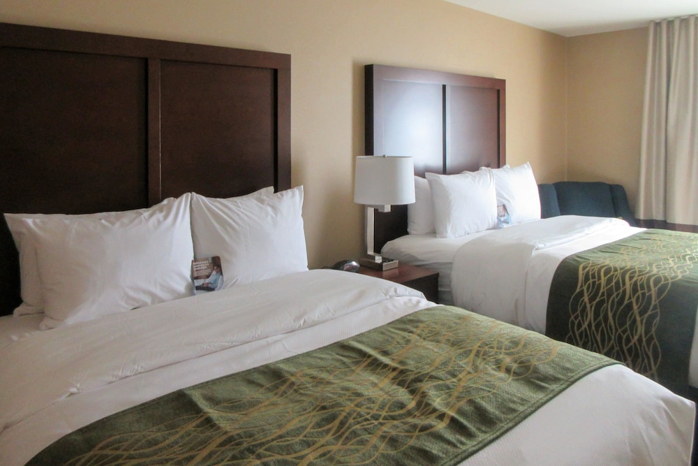 Comfort Inn & Suites - Harrisburg Airport - Hershey South 15/48
