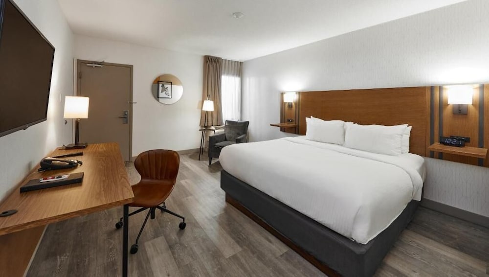 Mini, King Bed, Kitchenette