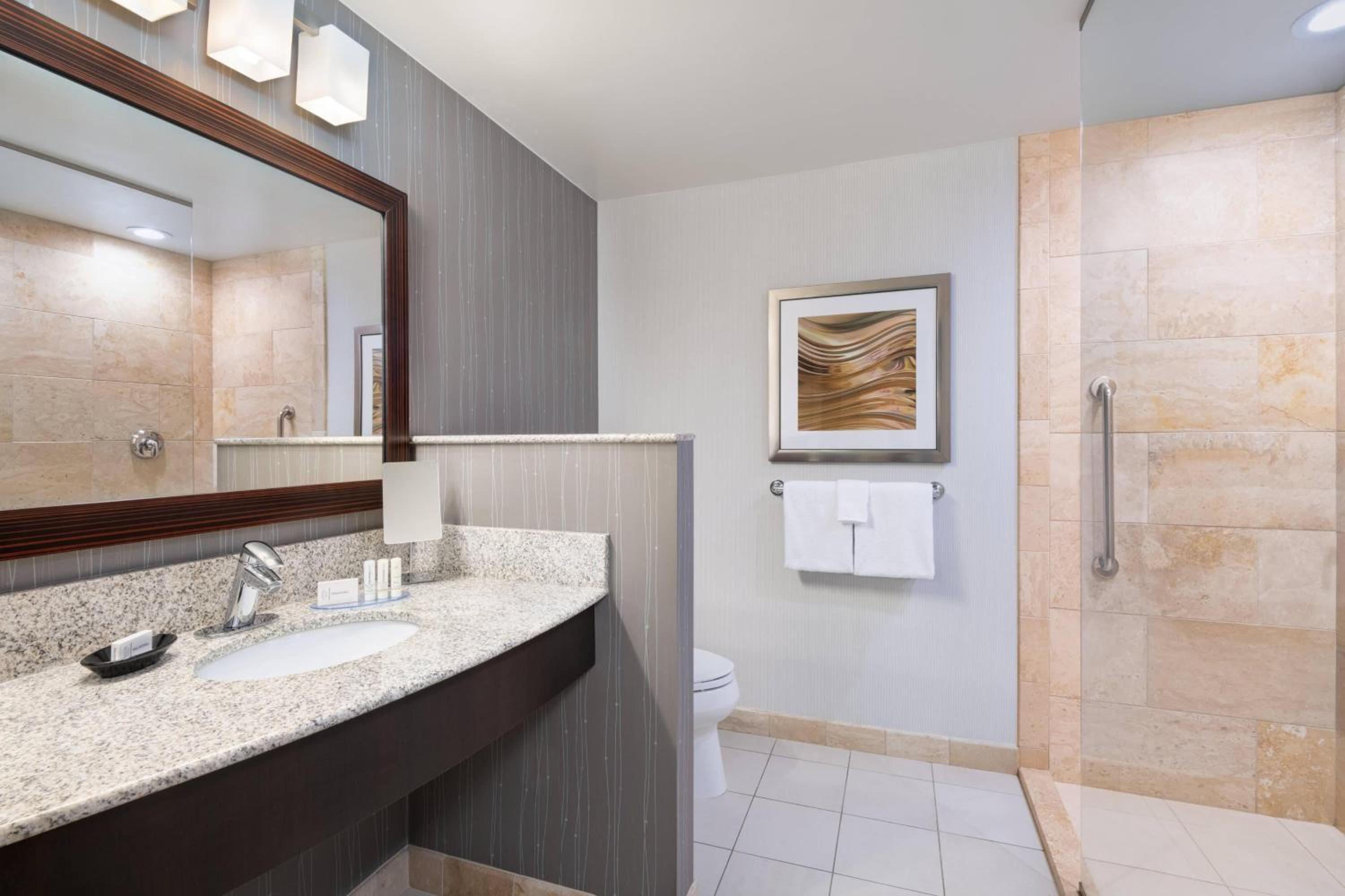 استوديو مع أريكة بحوض استحمام لذوي الإعاقة، Courtyard Pittsburgh Washington Meadow Lands 6/6