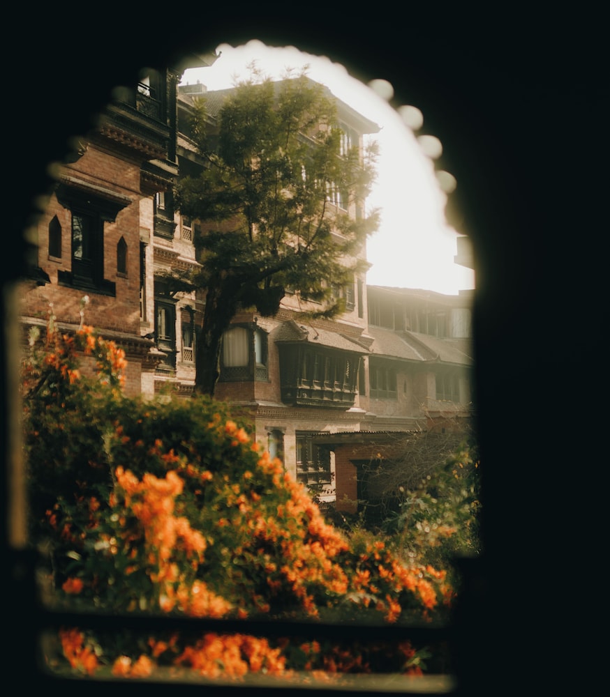 surroundings
