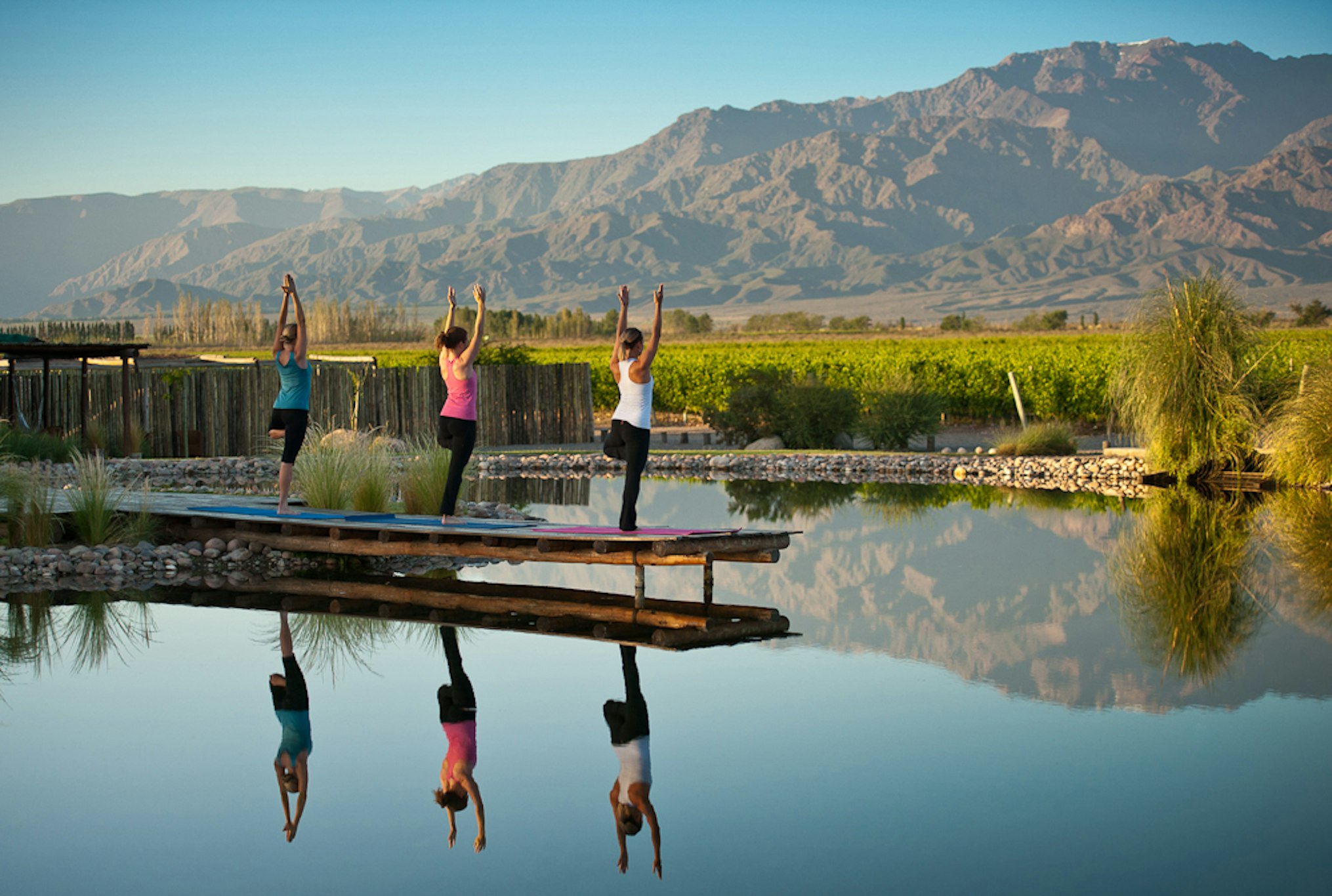 The Vine Resort & Spa 46/50