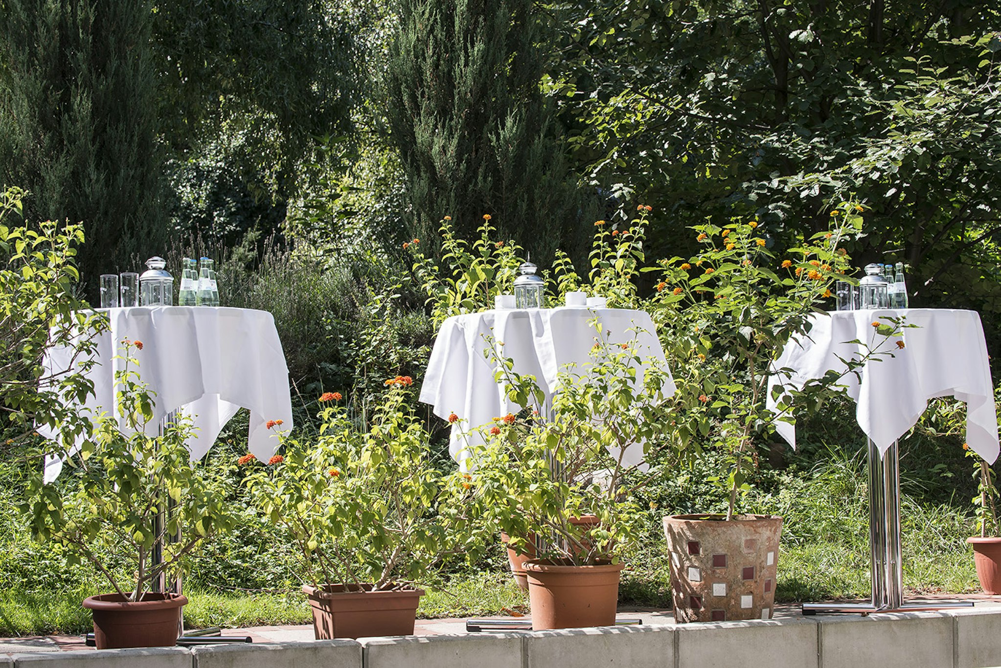 TOP EMBRACE Hotel Grenzfal 21/24