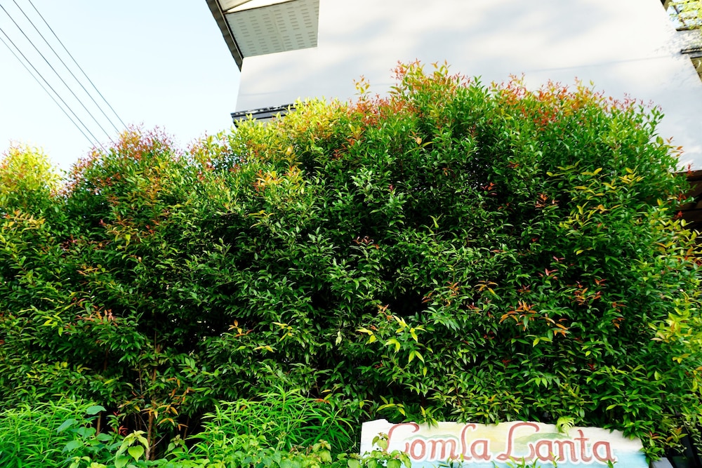 Lom La Lanta Hotel 30/40