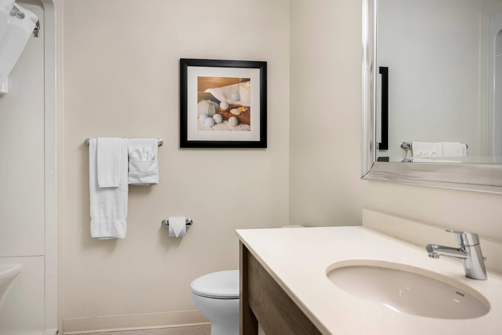 غرفة قياسية بسرير كينج يُسمح فيها بالحيوانات الأليفة، Amsterdam Inn & Suites Florenceville-Bristol, an Ascend Collection Hotel 5/5