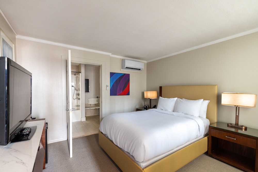 Room, Double Bed, Accessible