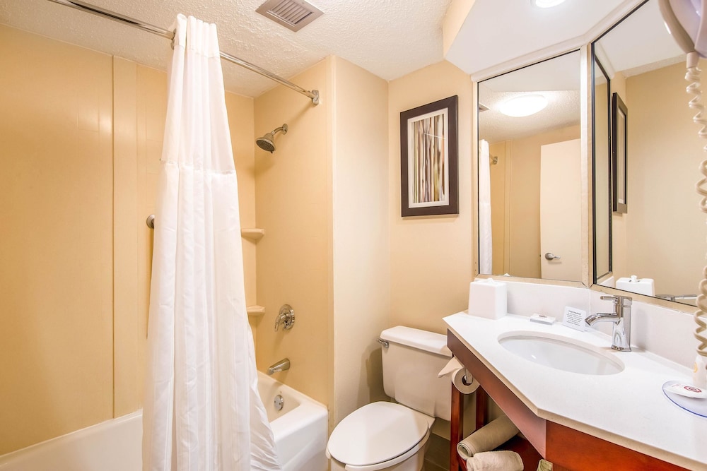 Comfort Inn Greenville - Haywood Mall 19/55