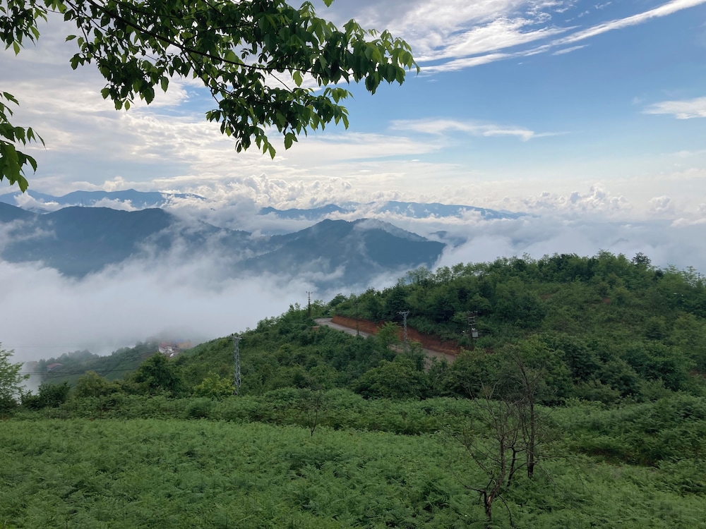 Zarha Mountain Resort 67/72
