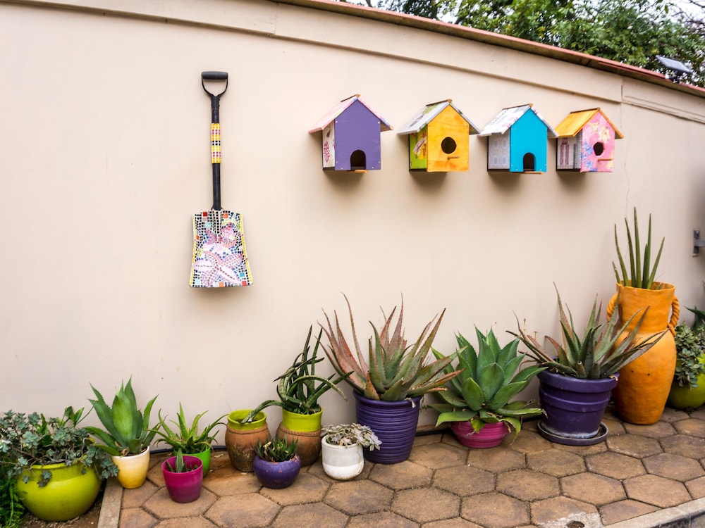 Mackaya Bella Guest House 6/71