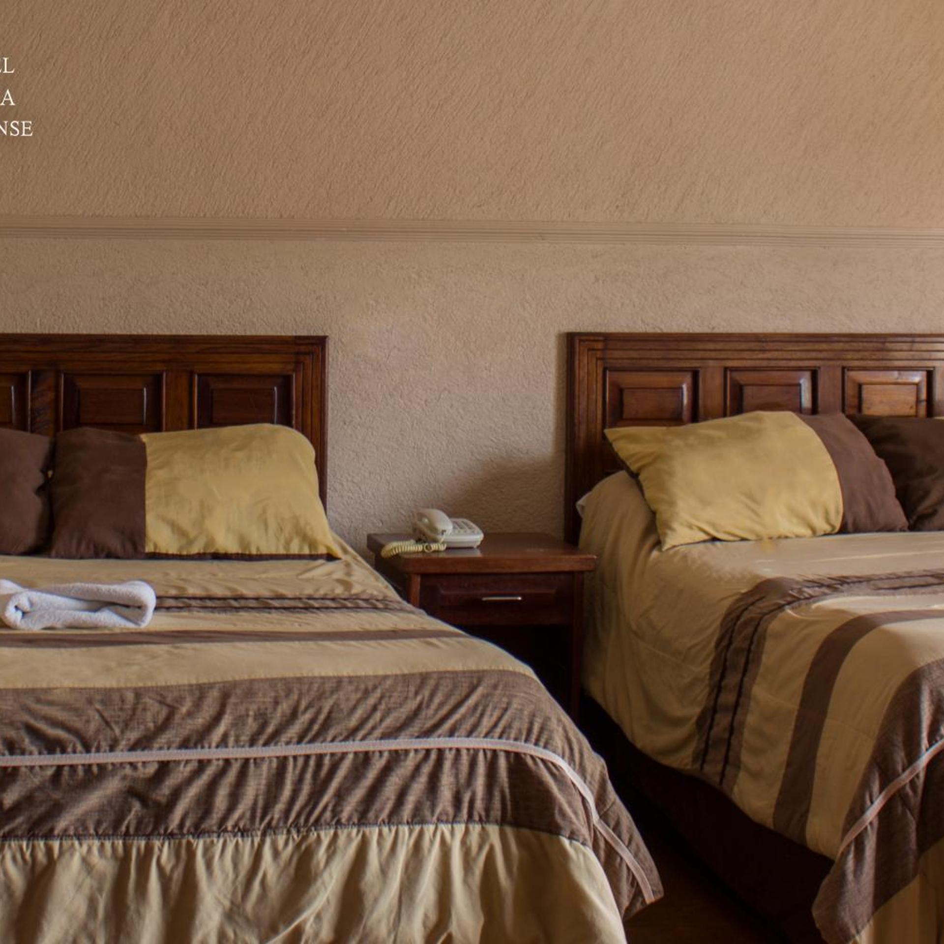 Hotel Feria Jalisciense 14/37