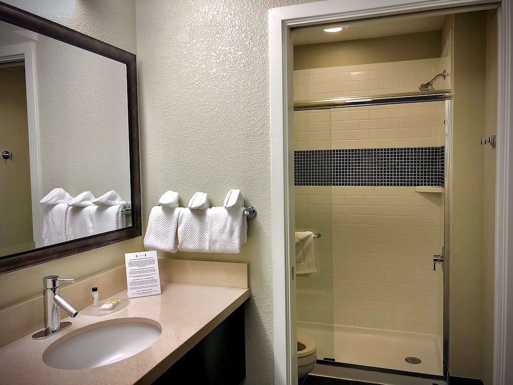 Sonesta Es Suites San Francisco Airport San Bruno 15/53