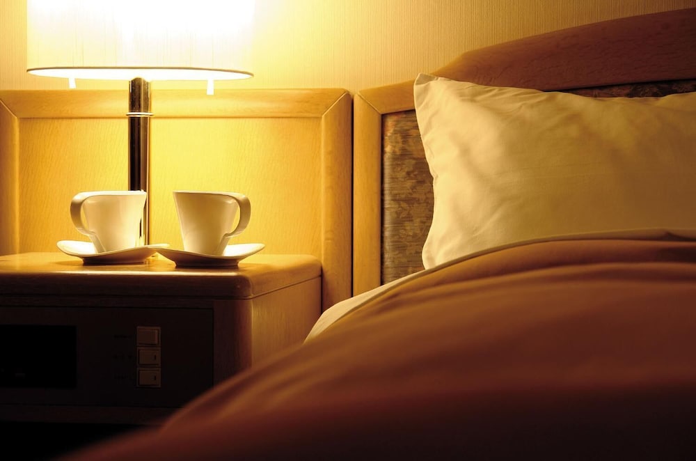 Hirosaki Plaza Hotel 34/50