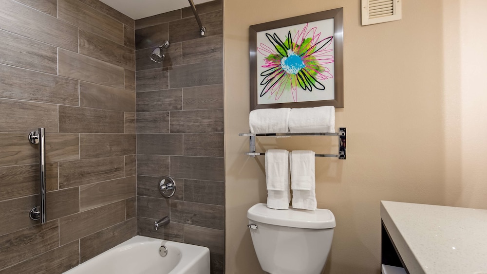 Best Western Plus Greenville I-385 Inn & Suites 15/53