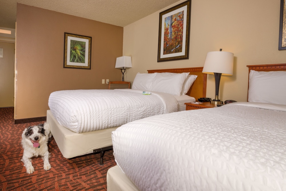 Holiday Inn Estes Park 21/84