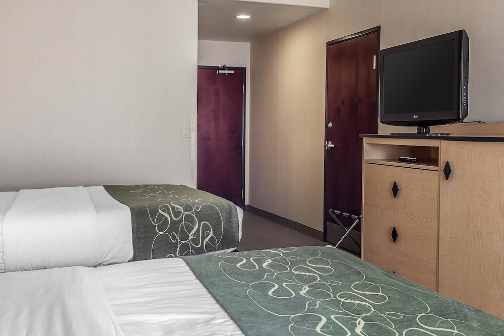 Comfort Inn & Suites Airport Convention Center 19/43