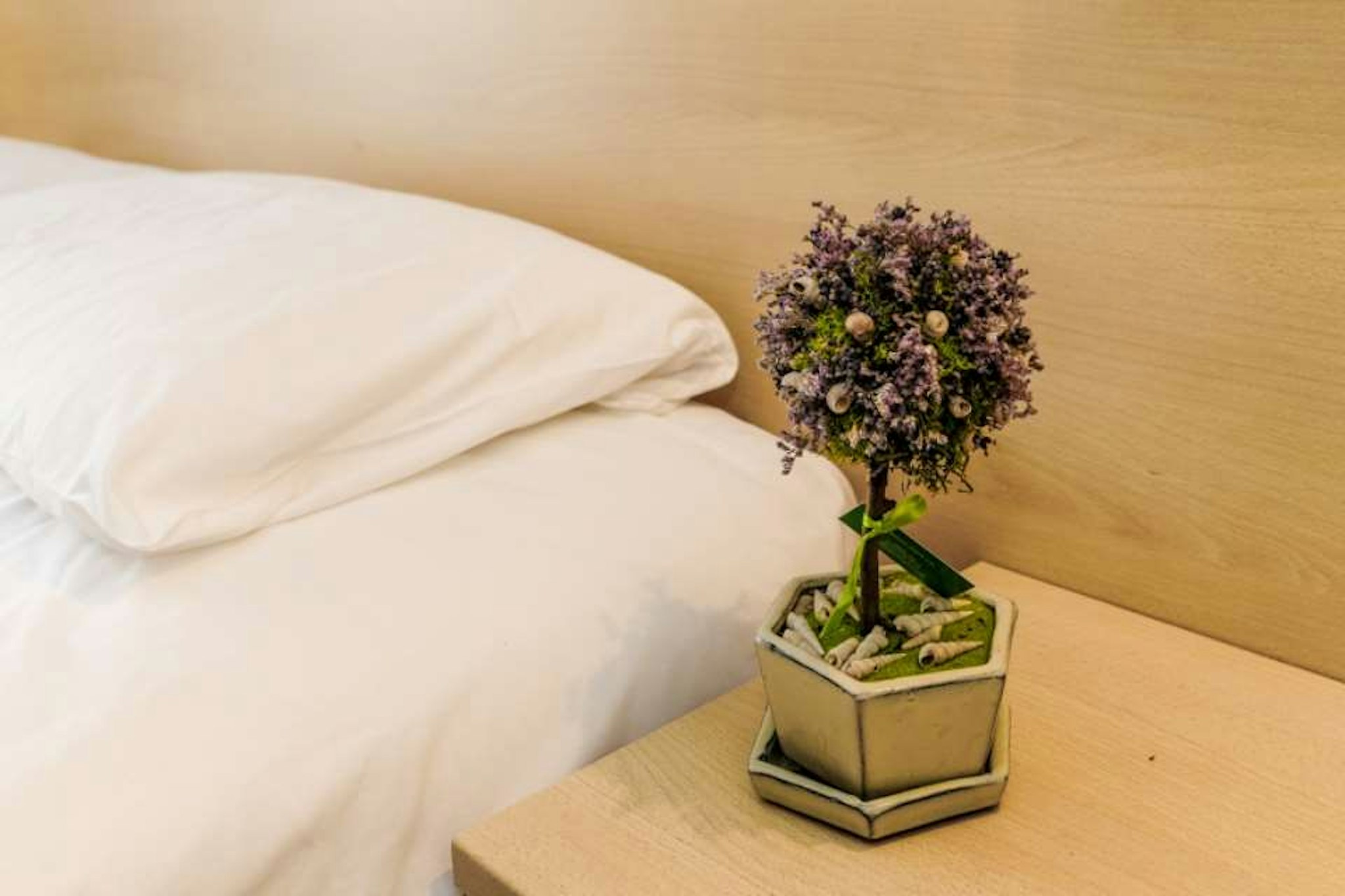 Hotel Piran 33/42