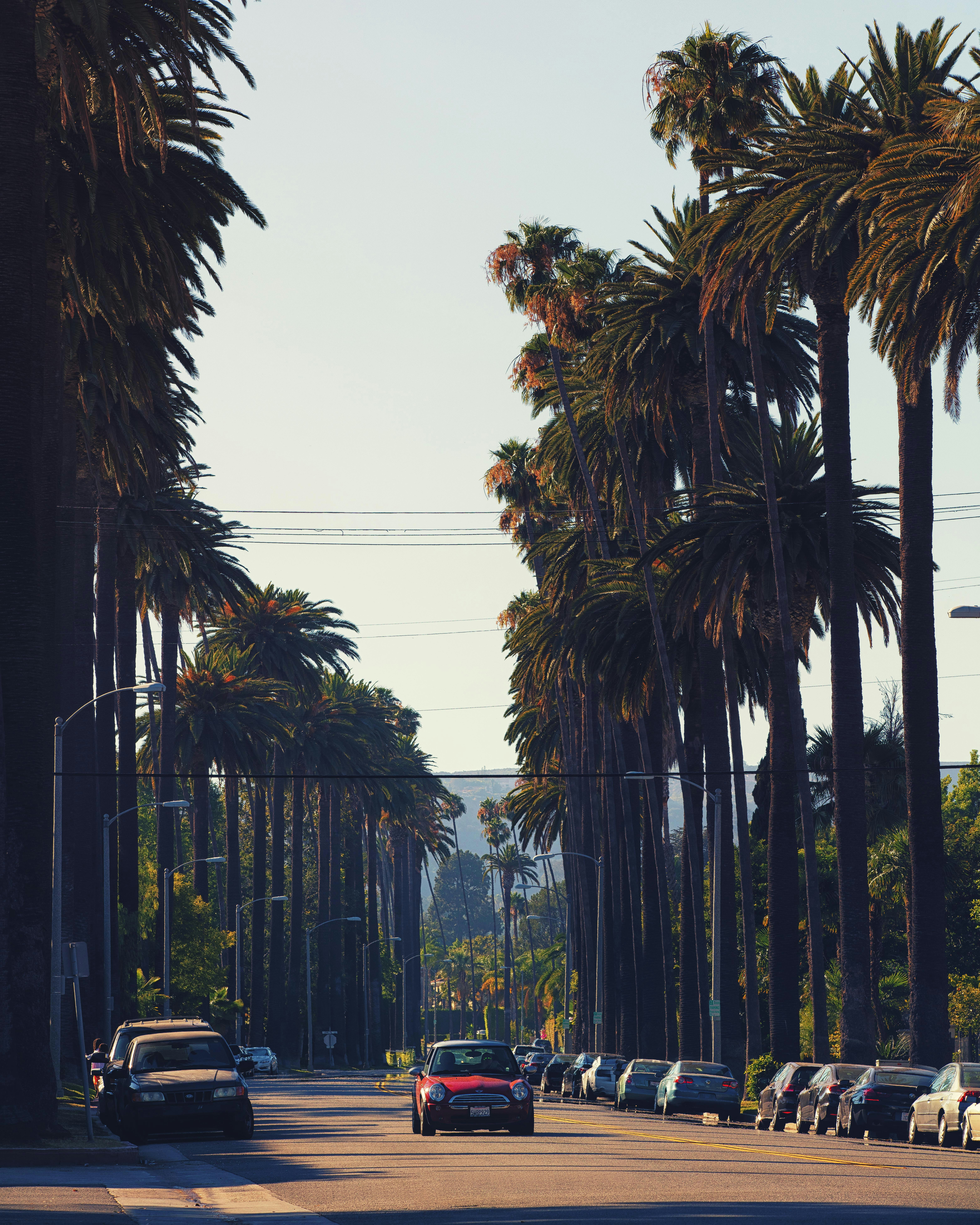 Loews Hollywood Hotel 57/73