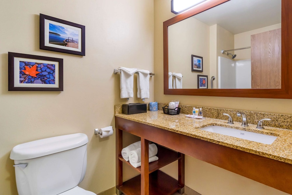 Comfort Inn Auburn Seattle 20/30