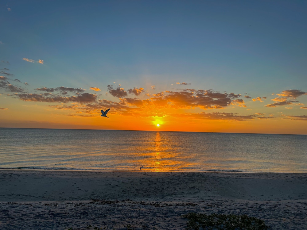 Pearl Beach Inn 28/54