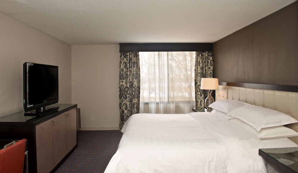 Sheraton Minneapolis West Hotel 17/61