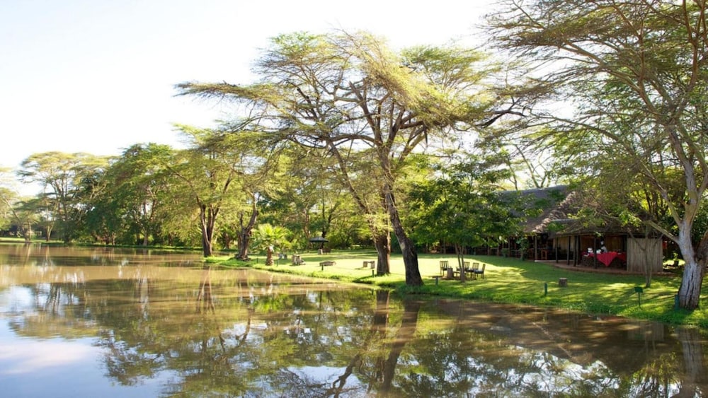 Voyager Ziwani Tented Camp 34/43