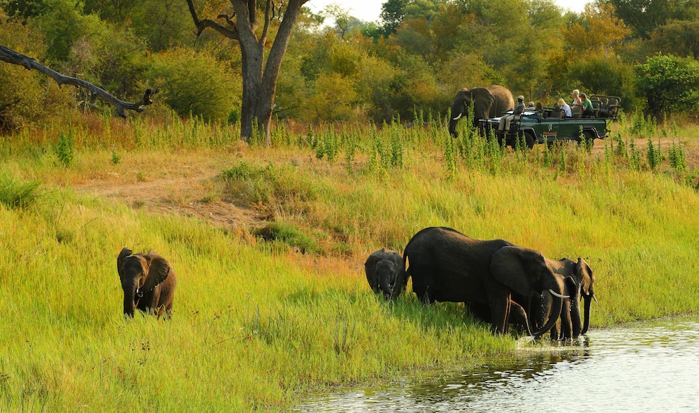 Geigers Camp at Motswari Private Game Reserve 23/34