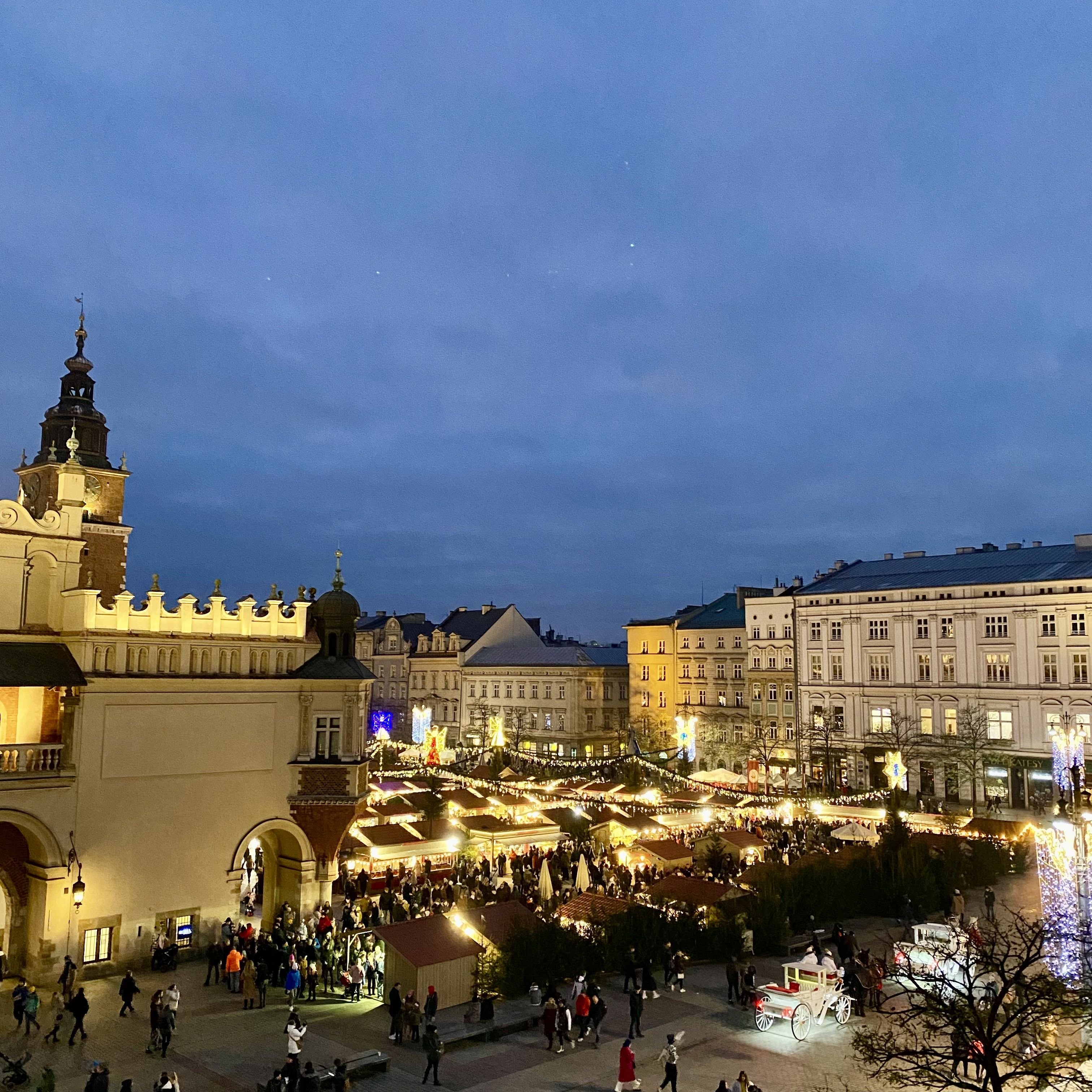 Bonerowski Palace 2/59