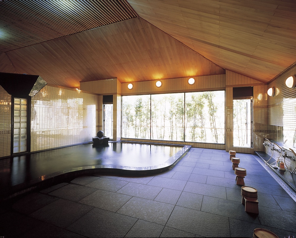 Watarase Onsen Hotel Sasayuri (ex Watarase Onsen Hotel) 19/44