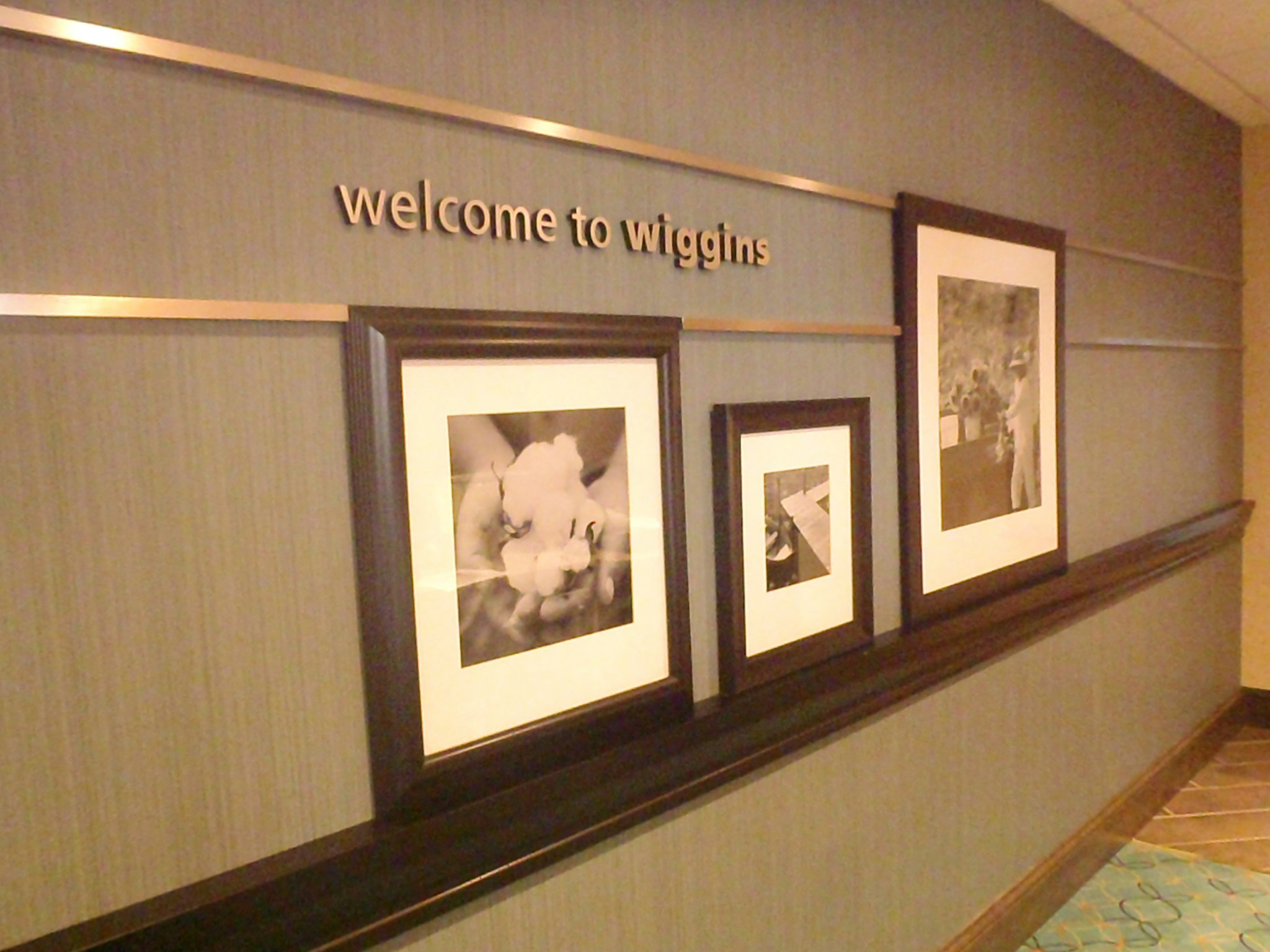 Hampton Inn And Suites Wiggins 9/29