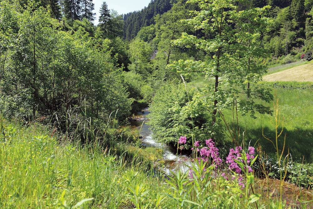 Gasthof Blume 46/50