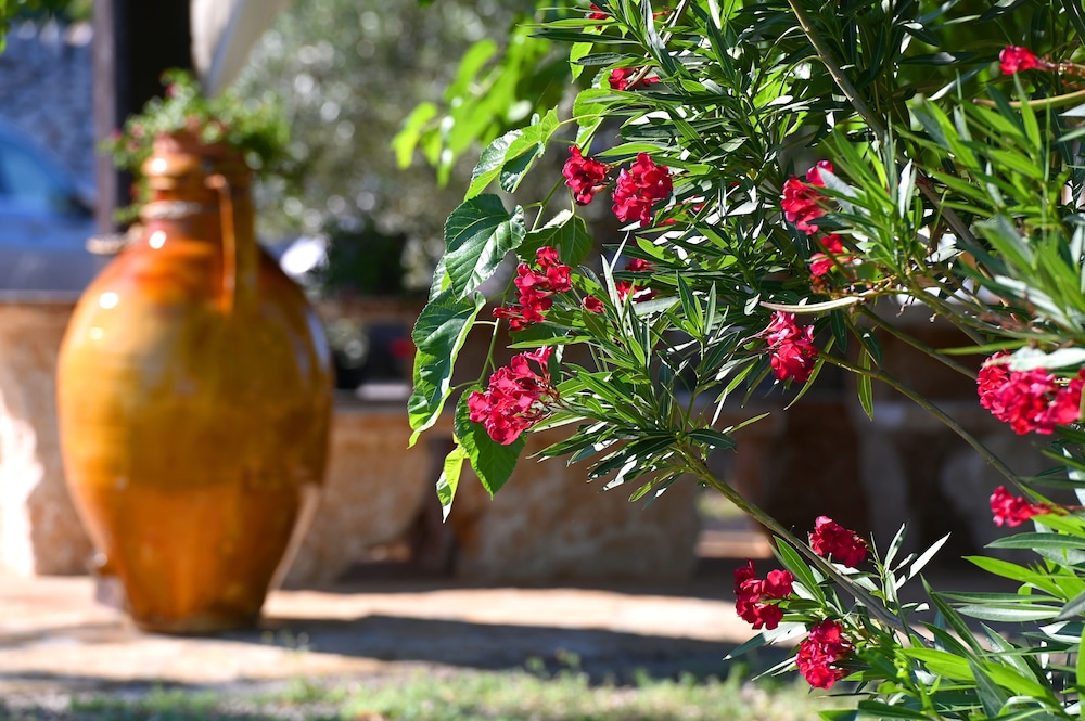 Masseria Peppeturro 12/50