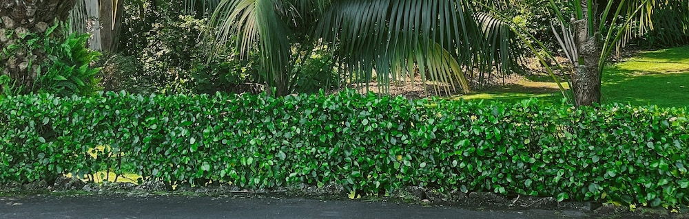surroundings