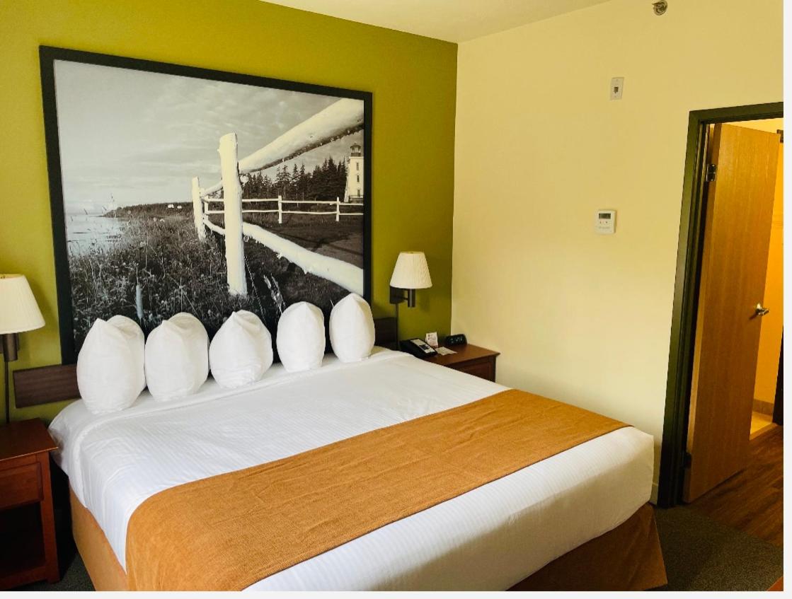 Junior Suite, King Bed