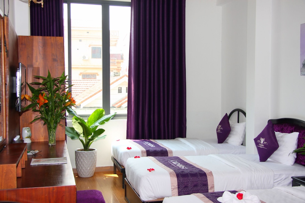 Carnosa Hotel 11/65