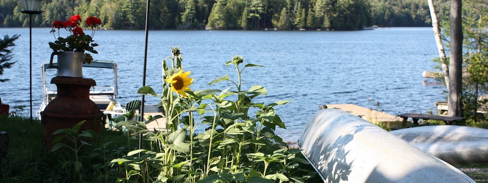 Kiwassa Lake Bed & Breakfast and Cabins 42/50