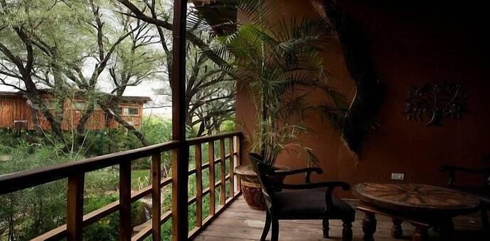 The Tree House Resort 19/35