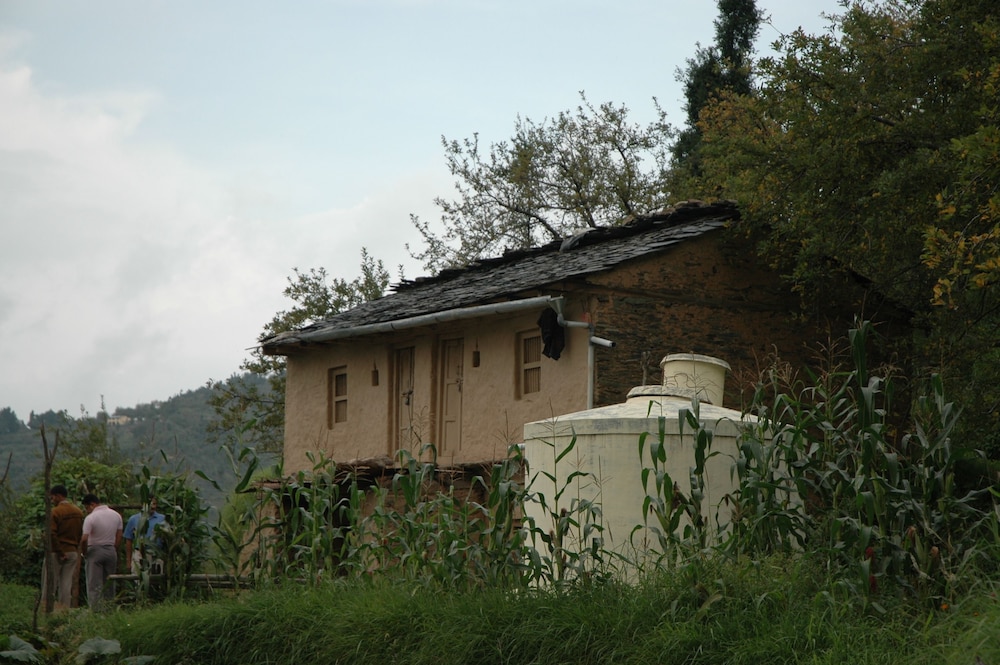 THE TERRACES 2/50