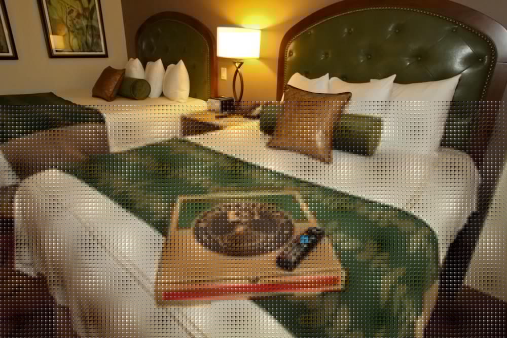 L'auberge Casino Resort Lake Charles 28/61