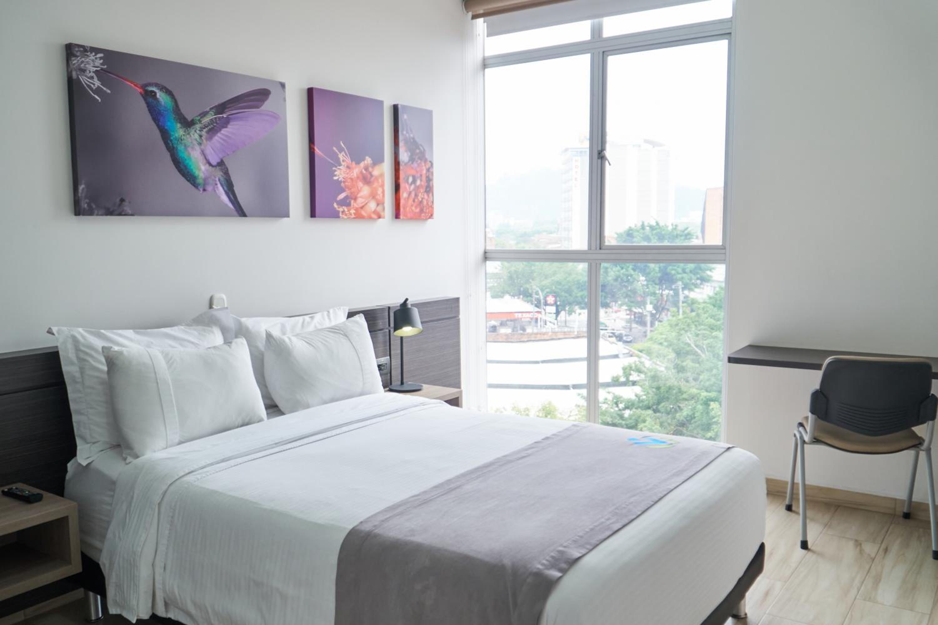 Room, Queen Bed