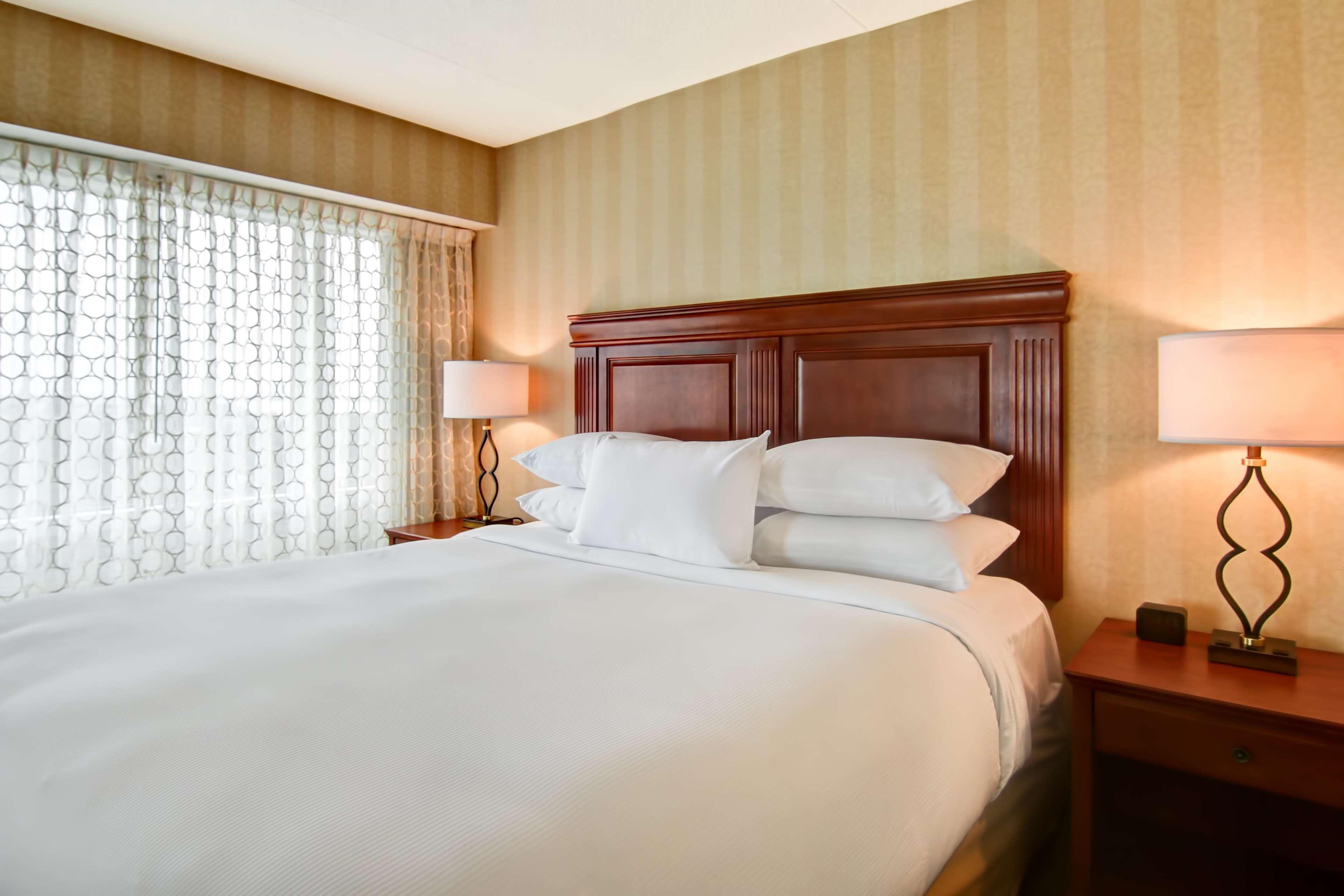 suite, king bed