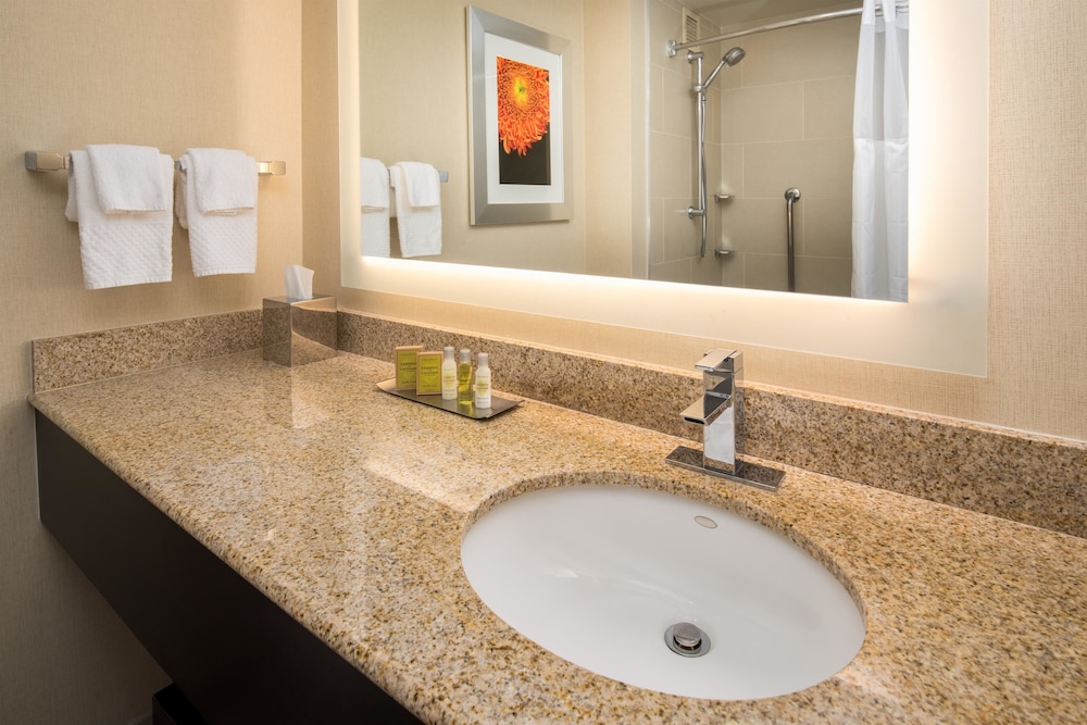 Doubletree By Hilton San Francisco Airport 70/85