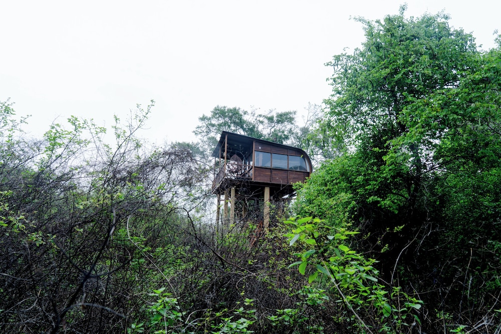 Leopard Nest Luxury Campsite 3/50