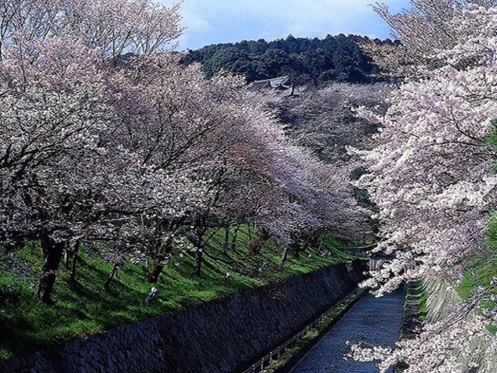 le Lac HOTEL KUSATSU 20/46