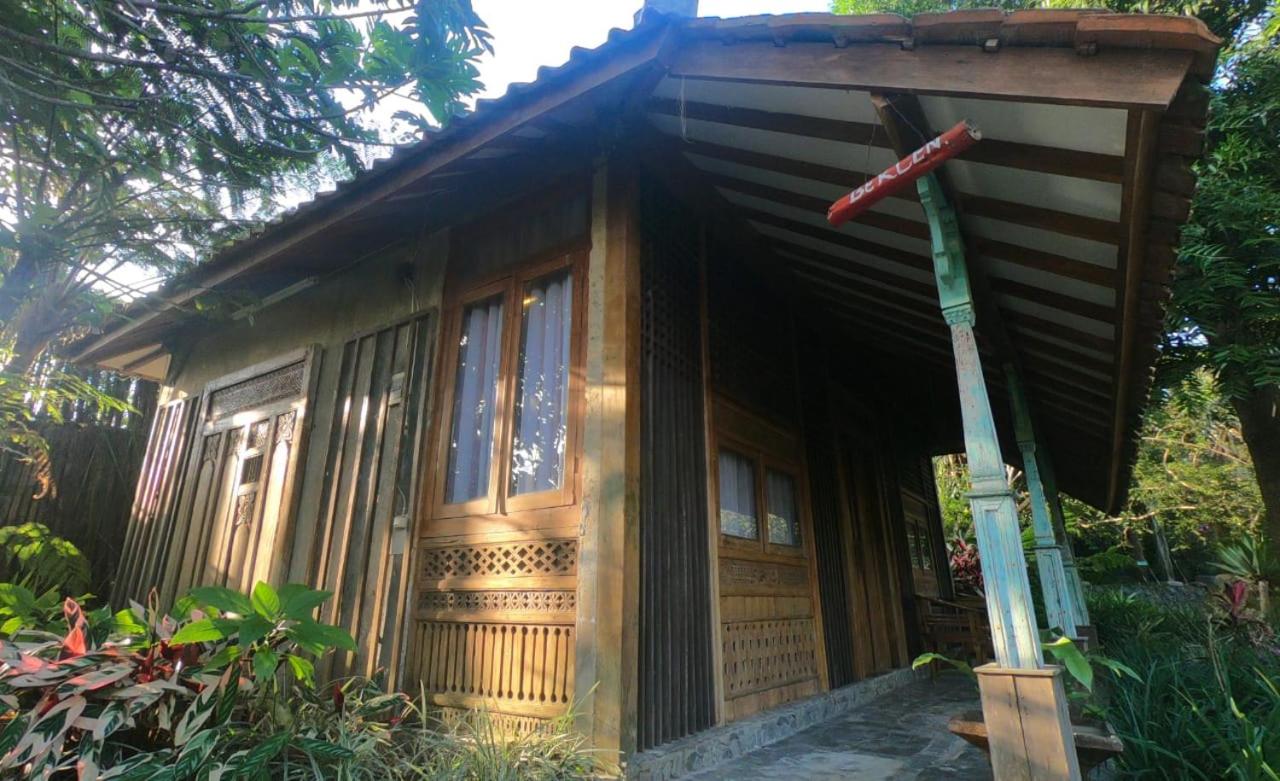 Sapu Lidi 2/31