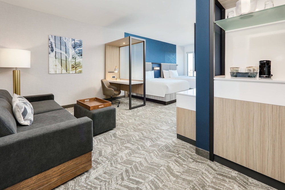 SpringHill Suites by Marriott Dallas Mansfield 28/53