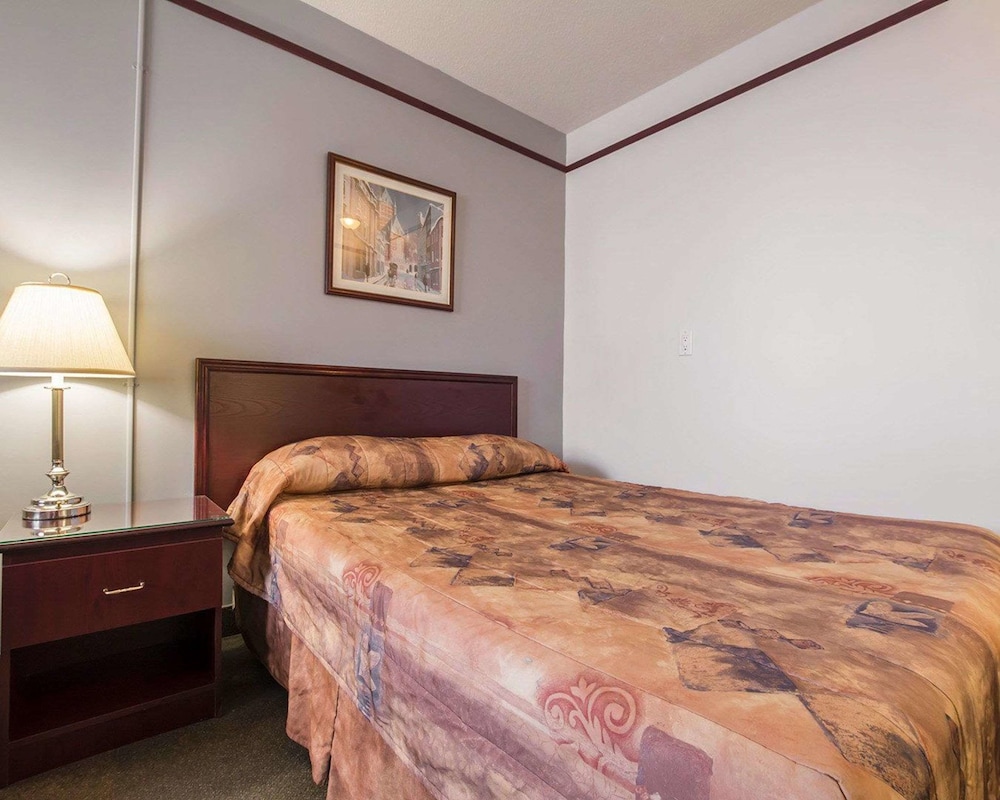 Repotel Levis 6/48