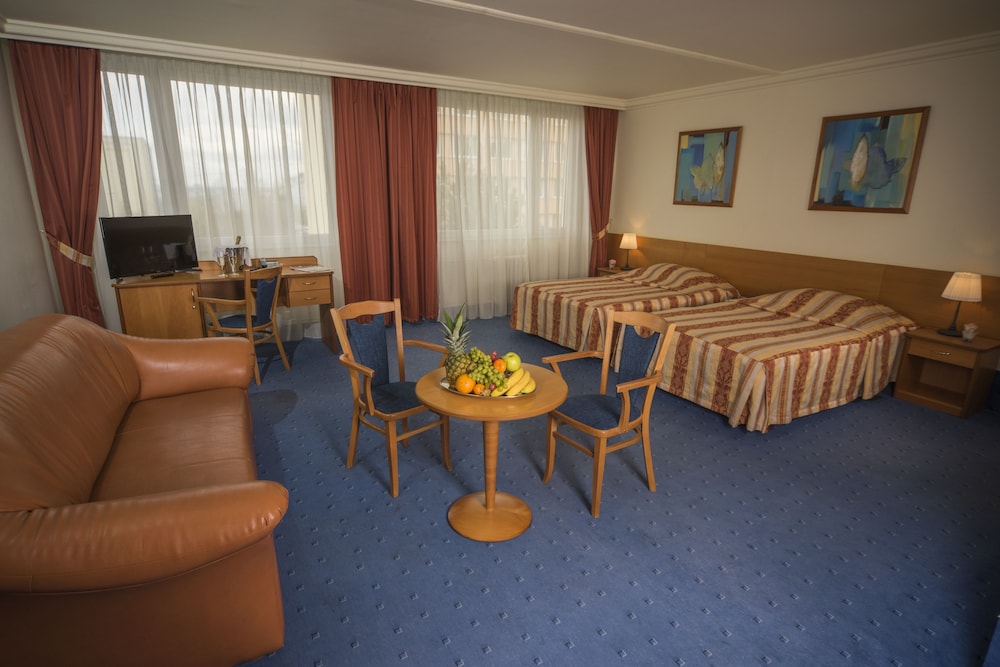 Top Hotel Praha 24/50