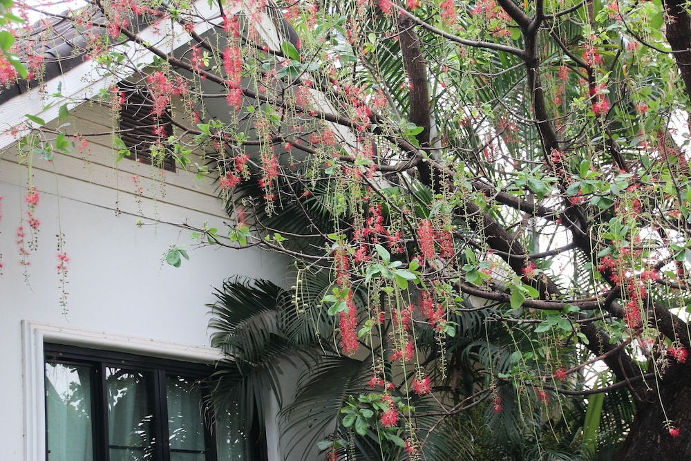 Chayada Garden House And Resort Hotel 7/50