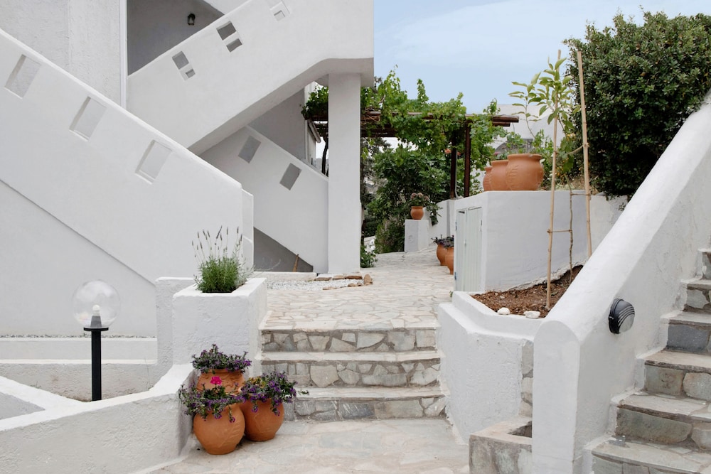 Thalia Bloom Apartments 35/62